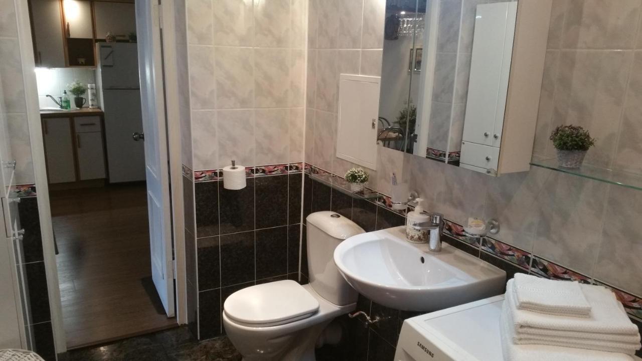 Santariskes Apartment فيلنيوس المظهر الخارجي الصورة